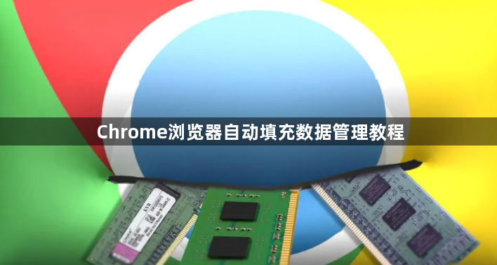Chrome浏览器自动填充数据管理教程1