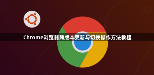 Chrome浏览器跨版本更新与切换操作方法教程1
