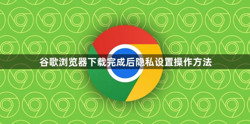 谷歌浏览器下载完成后隐私设置操作方法1