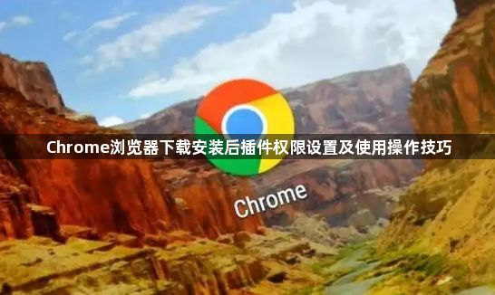 Chrome浏览器下载安装后插件权限设置及使用操作技巧1