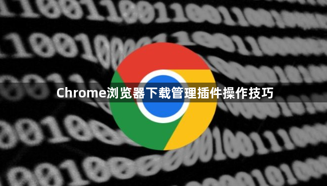 Chrome浏览器下载管理插件操作技巧1