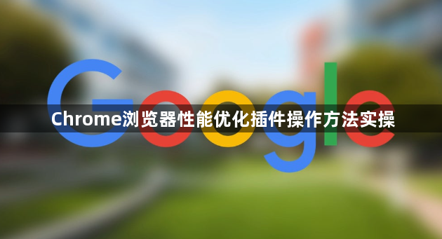 Chrome浏览器性能优化插件操作方法实操1