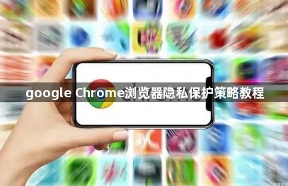 google Chrome浏览器隐私保护策略教程1