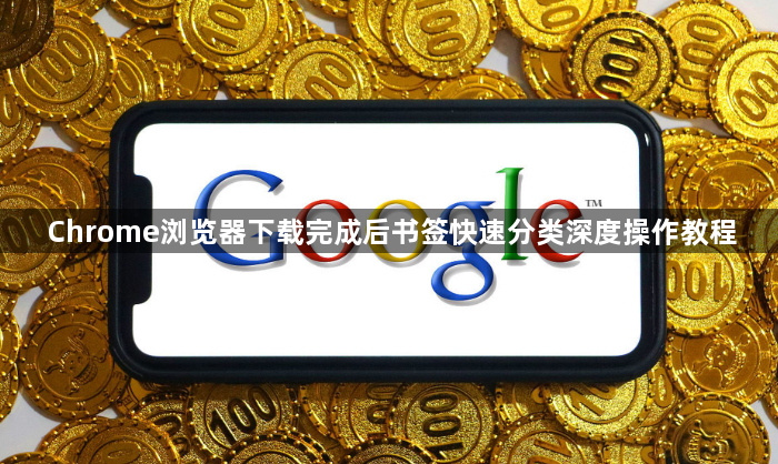 Chrome浏览器下载完成后书签快速分类深度操作教程1