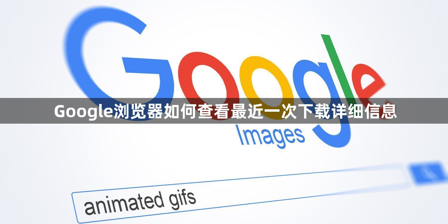Google浏览器如何查看最近一次下载详细信息1