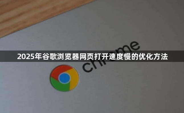 2025年谷歌浏览器网页打开速度慢的优化方法1